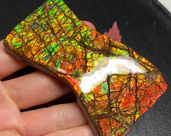 Canadian Ammonite Freeform Gemstone 84X49X12 MM 110 Grams #2872-34