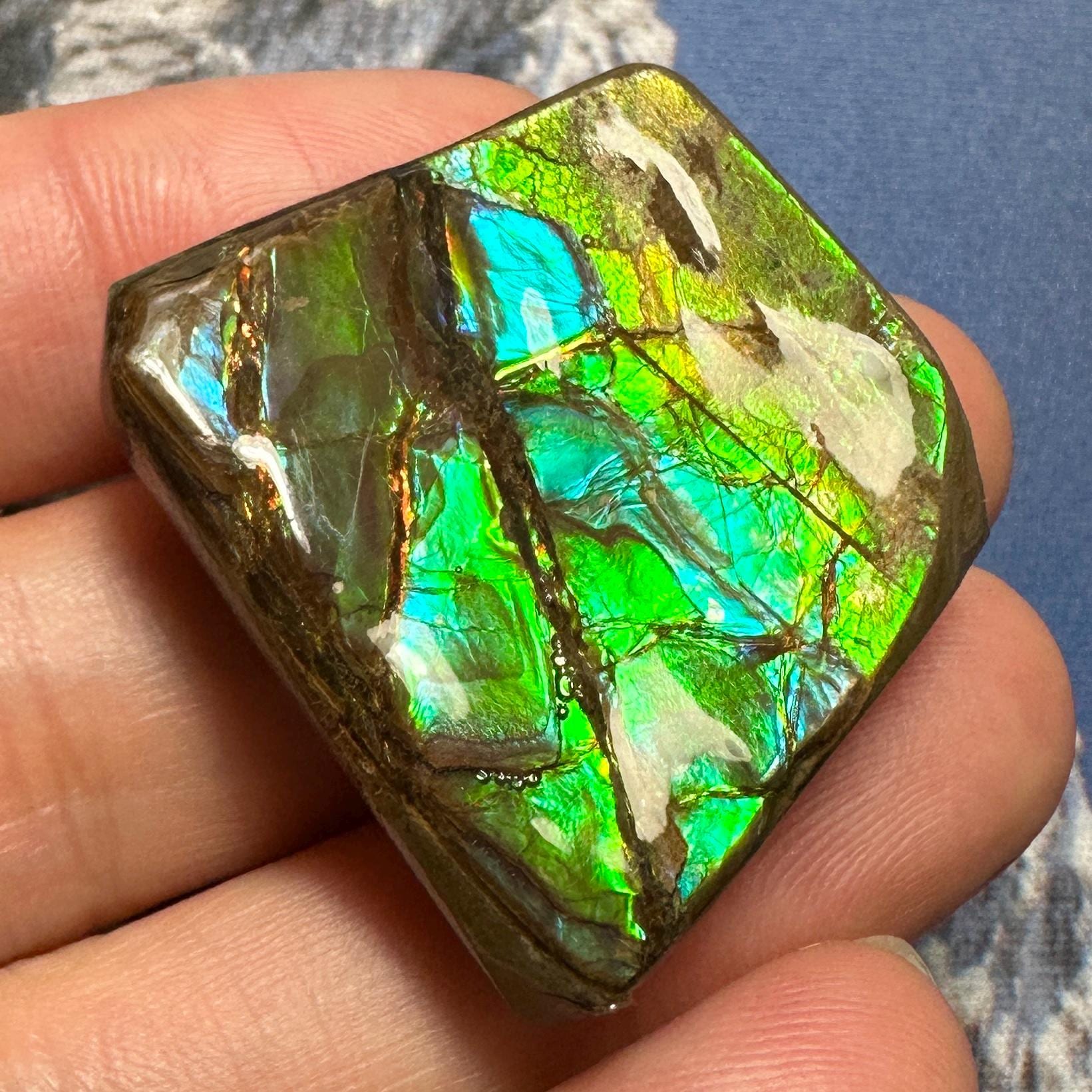 アンモライト宝石 - カナダ産天然化石宝石 カナダ産アンモナイト自由形