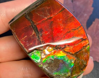 May include: A polished ammolite gemstone featuring a vibrant, iridescent surface with deep red, orange, and bright green color shifts. The stone has a smooth, glossy finish with dark, natural fracture lines running across its irregular shape.