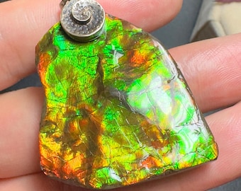 Authentic Canadian Ammolite pendant Freeform Gemstone Jewelry Multiple Options #3003