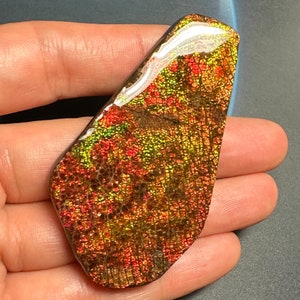 Authentic Ammolite Gemstone Natural Canadian Ammonite Freeform Gemstone 68X37X7 MM 32 Grams #3010-15