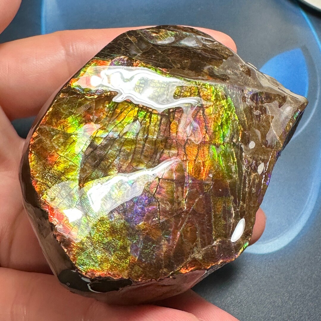 カナダ産アンモライト アンモナイト 両面標本 美品 78X50X42 mm 201