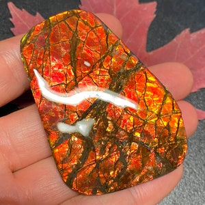 Canadian Ammolite Ammonite Freeform Gemstone 62X44X11 MM 53 Grams #2857-4