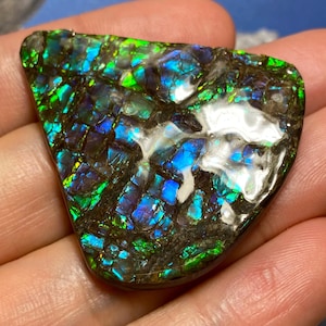 Ammolite Gemstone – Natural Canadian Fossilized Gem Canadian Ammonite Freeform Specimen 44X40X5 mm 15 Grams #3029-33