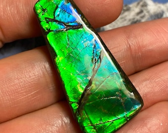 アンモライト宝石 – 天然カナダ産化石宝石 カナダ産アンモナイト自由形