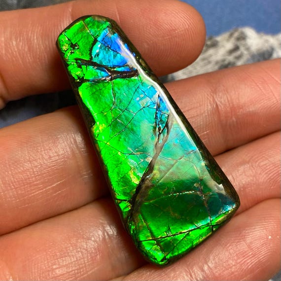 アンモライト宝石 – 天然カナダ産化石宝石 カナダ産アンモナイト自由形