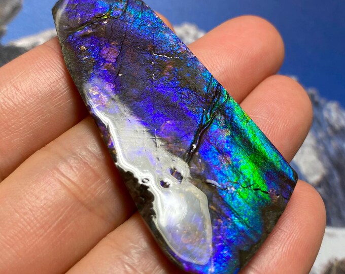 Ammolite Gemstone – Natural Canadian Fossilized Gem Canadian Ammonite ...