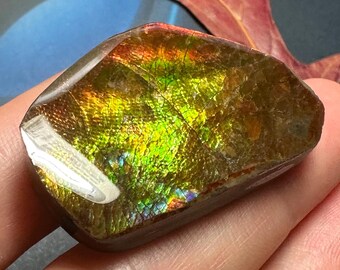 本物の天然カナダ産アンモライト アンモナイトフリーフォーム宝石 39 x