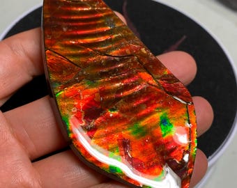 May include: A polished, iridescent gemstone with a vibrant display of colors. The stone features a mix of red, orange, green, and gold hues, with a glossy, reflective surface. The gemstone is an elongated, irregular shape.