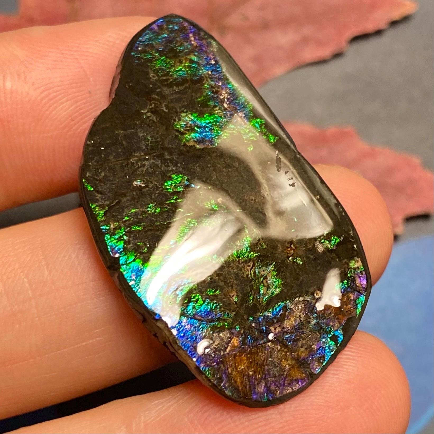 カナダ産アンモナイト アンモライトフリーフォーム宝石標本 複数