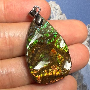 Canadian Ammonite Freeform Ammolite Pendant Gemstone 32X21 mm #3006-90