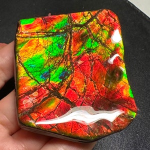 Canadian Ammolite Ammonite Freeform Specimen 71X58X11 mm 90 Grams #3011-4