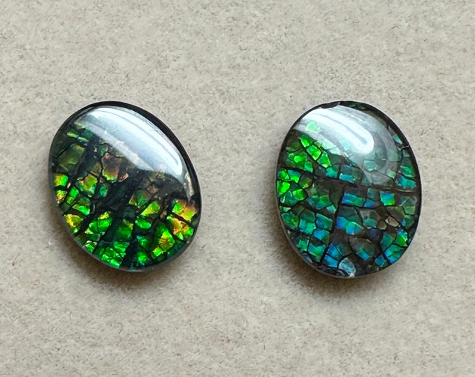 Canadian Ammolite Triplets Loose Beads Pair 9.7X8 mm Small #KE328