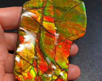 カナダ産アンモライト アンモナイト フリーフォーム 宝石 105X61X11 MM