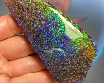 Naturalny kanadyjski amonit, kamień szlachetny o dowolnym kształcie, 93 x 44 x 11 mm, 89 gramów, nr 3010-51