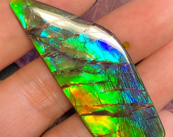 May include: A large, iridescent, green, blue, and gold ammolite cabochon with a unique, cracked pattern. The cabochon is a natural gemstone.