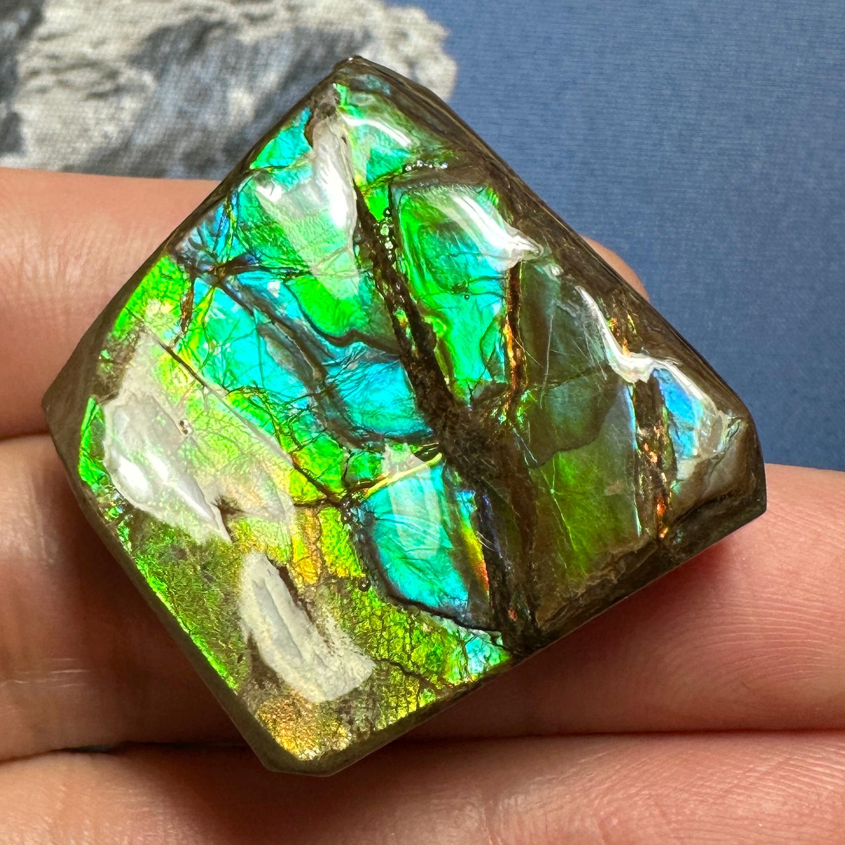 虹色のアンモライト宝石 – カナダ産アンモナイト化石標本 - Etsy 日本