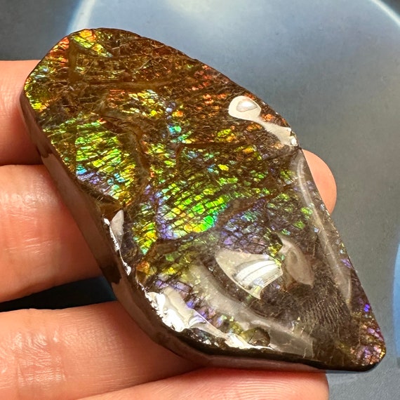 カナダ産アンモナイト アンモライト 天然宝石標本 67X38X8 MM 33