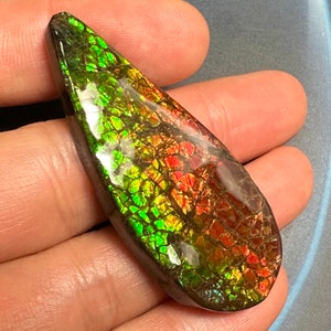 Authentic Ammolite Gemstone Natural Canadian Ammonite Freeform Gemstone 54X23X6 mm 15 Grams #3010-8