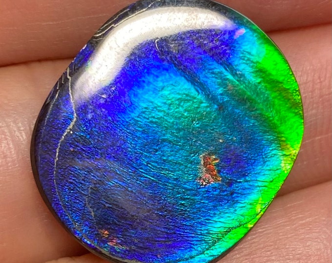 Canadian Ammolite Ammonite Gemstone Double Side 23X20X1.5 mm #2346