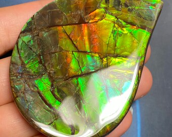 Canadian Ammolite Ammonite Freeform Gemstone 75X55X9 MM 66 Grams #2869-15