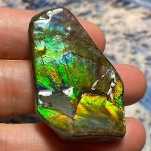 Ammolite Gemstone – Natural Canadian Fossilized Gem Canadian Ammonite Freeform Specimen Curved Surface 45X29X11 MM 15 Grams #3029-25