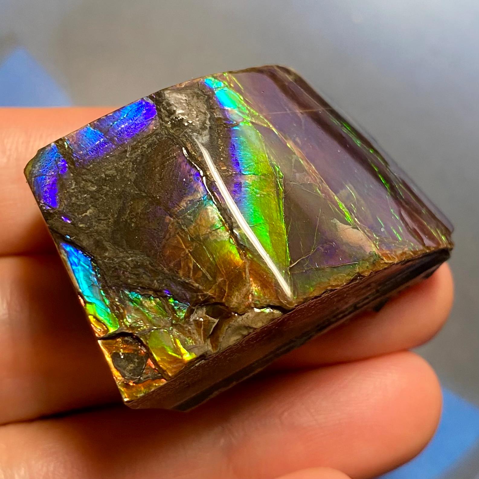 アンモライト宝石 – 天然カナダ産化石宝石 カナダ産アンモナイト自由形