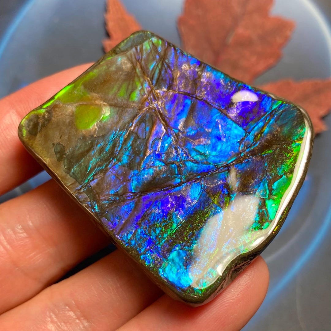 Genuine Ammolite Gemstone Natural Canadian Fossil Gem Loose Stone ...