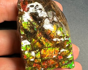 天然カナダ産アンモナイト アンモライト標本 両面 84X53X32 mm 178