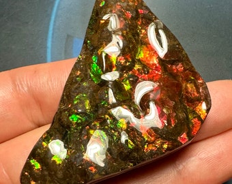 カナダ産アンモナイト アンモライト フリーフォーム標本 ドラゴン