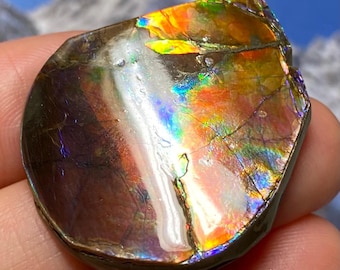 アンモライト宝石化石の美しさ - 天然カナダ産化石宝石カナダ産