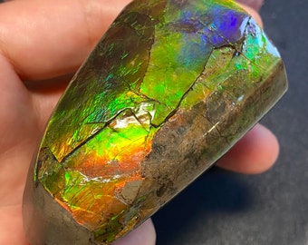 May include: A polished, iridescent ammolite gemstone. The surface displays a vibrant play of color, including greens, blues, and oranges, with a cracked, textured pattern. The stone has a rounded, elongated shape and a dark brown base.