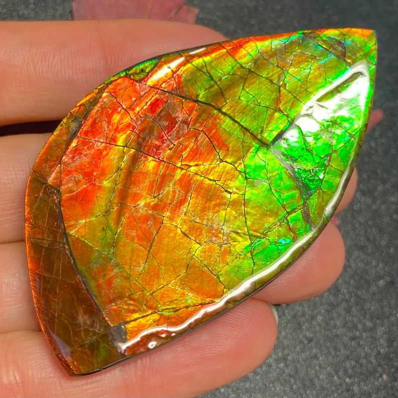 Canadian Ammolite Ammonite Freeform Gemstone 71X42X10 MM 47 Grams 2869 canadian-ammolite-ammonite-freeform-gemstone-71x42x10-mm-47-grams-2869
