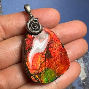 Authentic Ammolite Pendant Silver Gemstone Natural Canadian Ammonite Freeform Gemstone 40X30X8 MM #3006-50