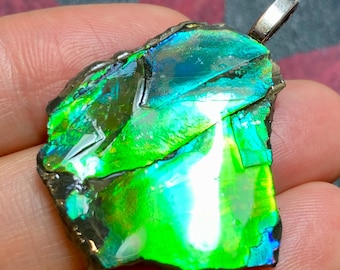 Authentic Canadian Ammolite Pendant Jewelry Freeform Fossil Natural  Gemstone Multiple Options