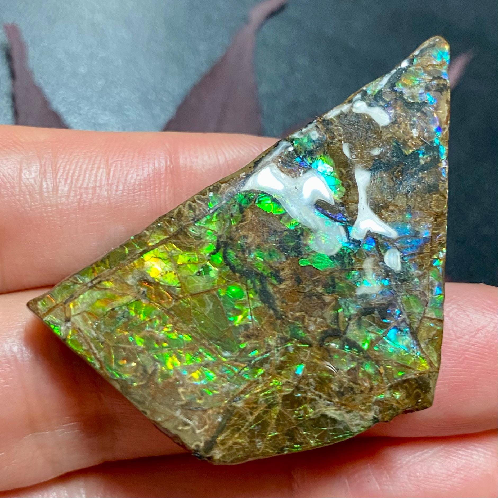 カナダ産アンモナイト アンモライトフリーフォーム宝石標本 複数