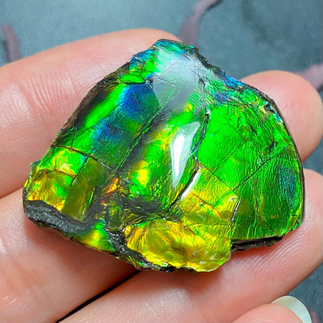 アンモライト宝石 – カナダ産天然化石宝石 カナダ産アンモナイト自由形