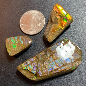 WYPRZEDAŻ Kanadyjski okaz skamieniałości amonitu: Tęczowy kamień energetyczny amonitu Wiele opcji 2556-38 38 Grams