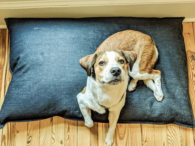 Tough pedic Dog Bed Small Nearly Indestructible & Chew Proof, Washable  Pillow For Chewing Puppy - For Size S Dogs 24X18, Obsidian Black 