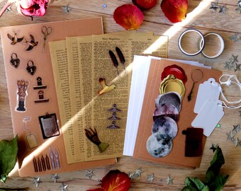 May include: A collection of craft supplies including stickers, paper, tags, and washi tape. The stickers feature birds, locks, and other vintage-style designs. The paper has a vintage look, and the tags are blank. The washi tape has a black and white design.