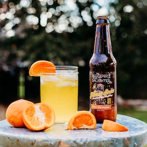 Honey Soda - Honey Bee Orange