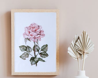 Watercolor Rose Illustration Art Print, Botanical Pink Rose Painting, A4 Aquarelle Illustration, Cottagecore, Vintage, Gift for Her