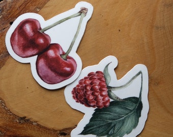 Set of 2 vinyl stickers, Summer Fruits Stickers, Cherry and Raspberry stickers, Planner Stickers