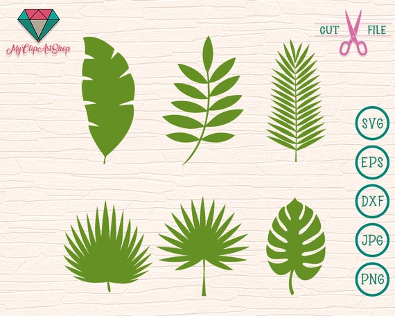 Download Tropical Leaves Svg Summer Green Vector Clipart Svg Cut Files For Cricut Silhouette Monstera Banana Palm