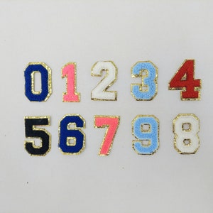 2 Inch Chenille Number with Gold Glitter Border: Pick Your Letter/ Color