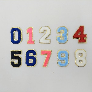 2 Inch Chenille Number with Gold Glitter Border: Pick Your Letter/ Color