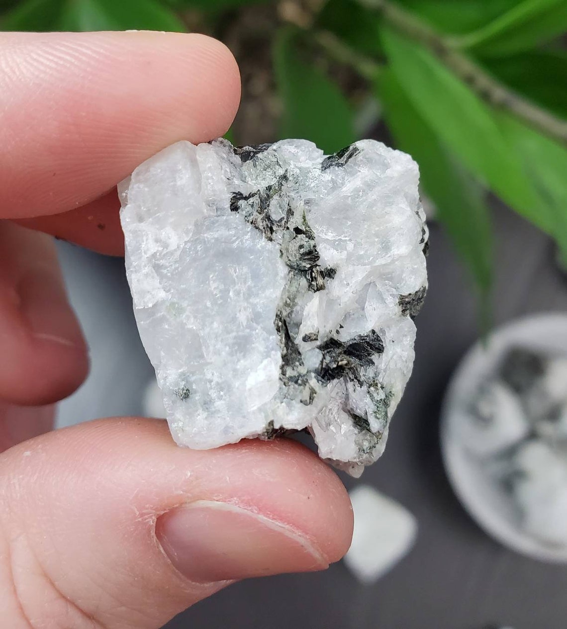 Moonstone Natural Raw Moonstone Crystal Chakra Cancer Etsy