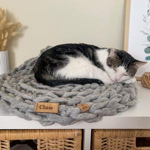 Personalised cat bed hotsell