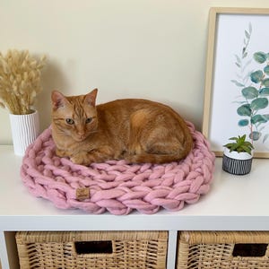 Op de afbeelding: Een roze gebreid kattenbed met een gemberkat die erop ligt. Het bed staat op een wit rek met een vaas met gedroogde bloemen en een ingelijst afdruk van eucalyptusbladeren.