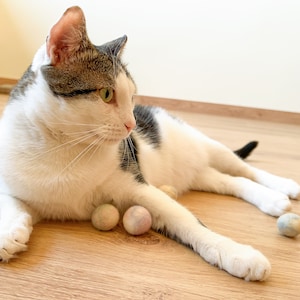 Natural wool pom poms for cats, Eco-friendly toys for indoor cats, Toys with bell to entertain your kittens, Cat bouncy natural felt balls